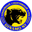 Dinamo NV